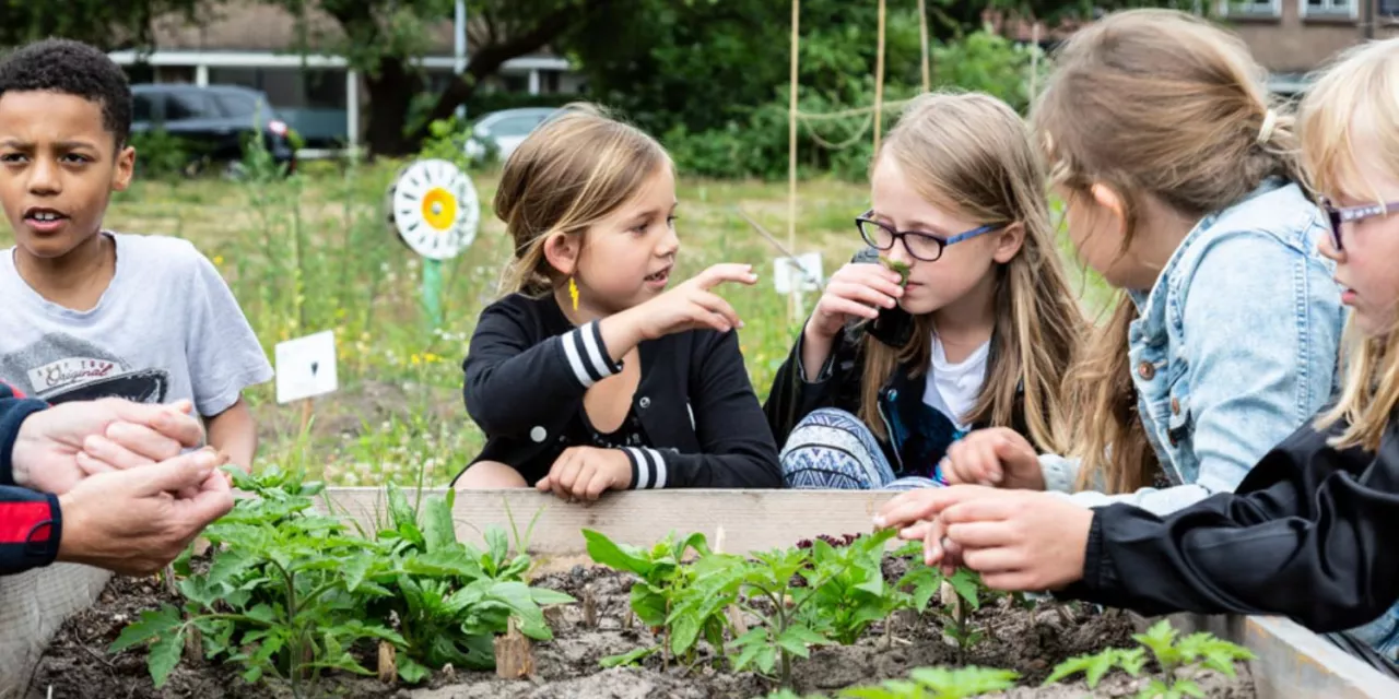 Kennis van het kinderbrein