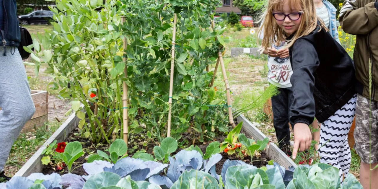 Sensomotorische ontwikkeling in de kleutergroepen