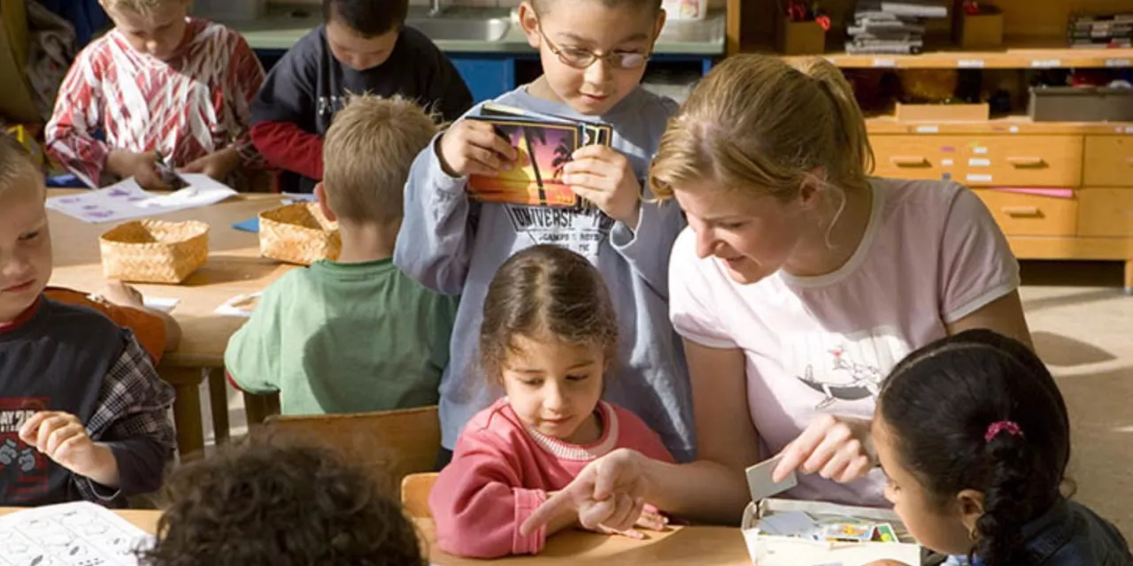 De rol van de bovenschools opleidingscoördinator 