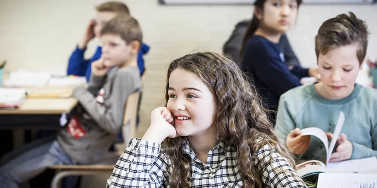 Formatief handelen in de klas